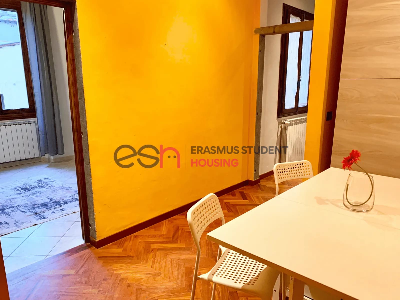 Cocina 5